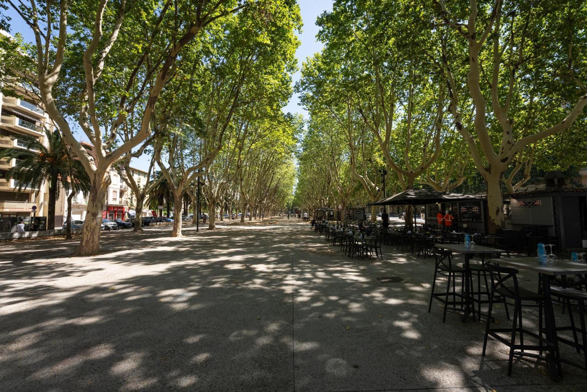 Mercure Perpignan Centre Dış mekan fotoğraf